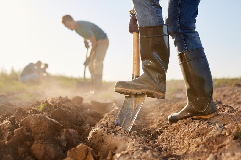 Why hire a dirt contractor on ExcavationHQ